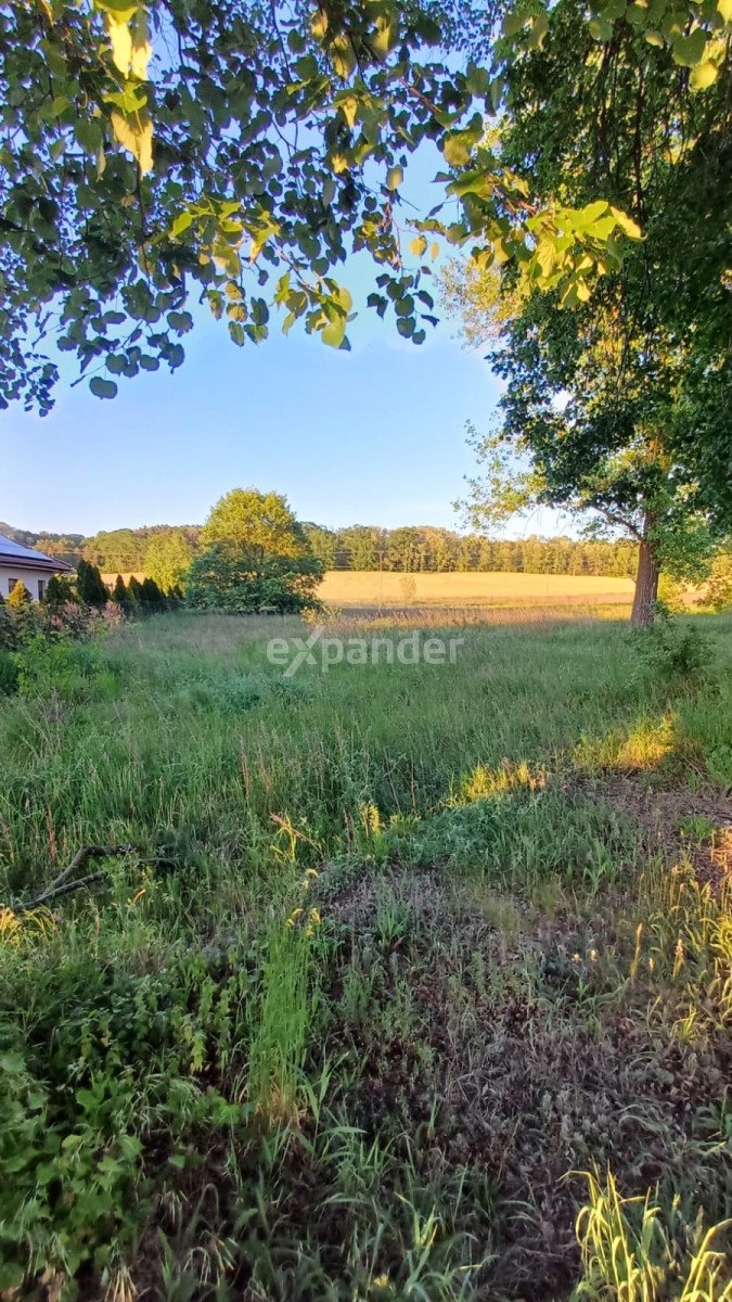 Działka budowlana na sprzedaż Świecko  1 868m2 Foto 7