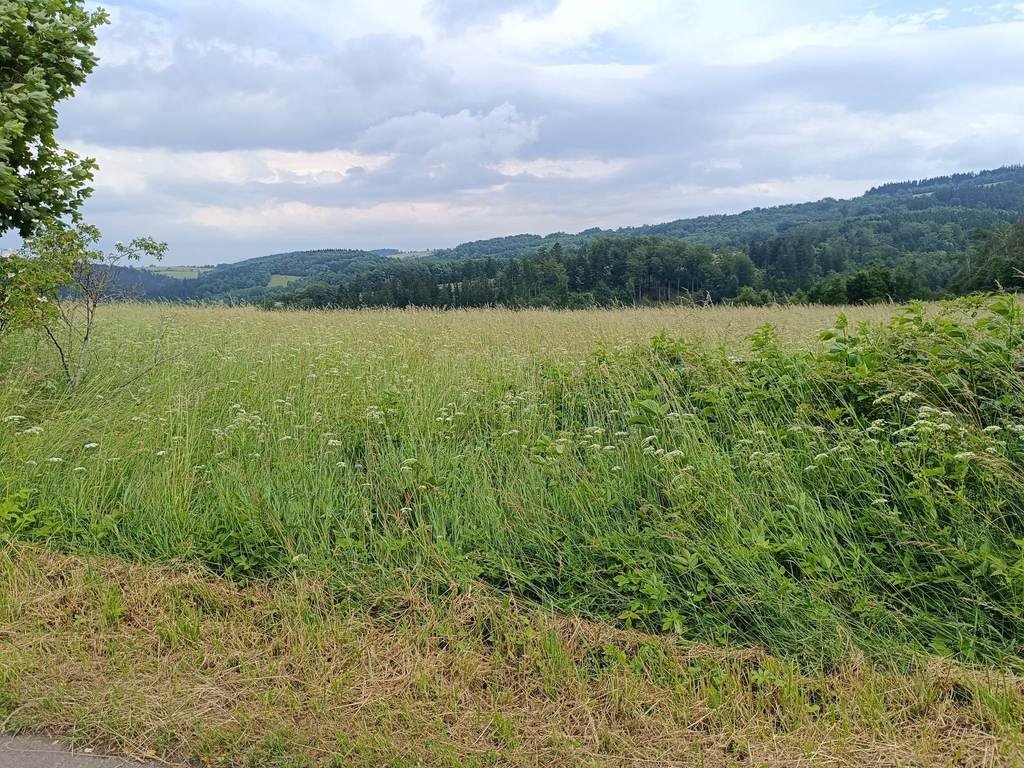 Zapraszam do zakupu działki 2000 m² w Walim z możliwością powiększenia Walim  2 000m2 Foto 1