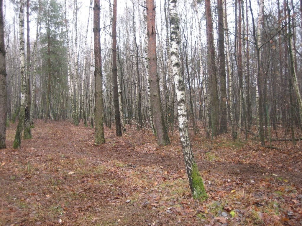 Działka budowlana na sprzedaż Aleksandrów Łódzki, obok Rezerwatu Przyrody  819m2 Foto 4