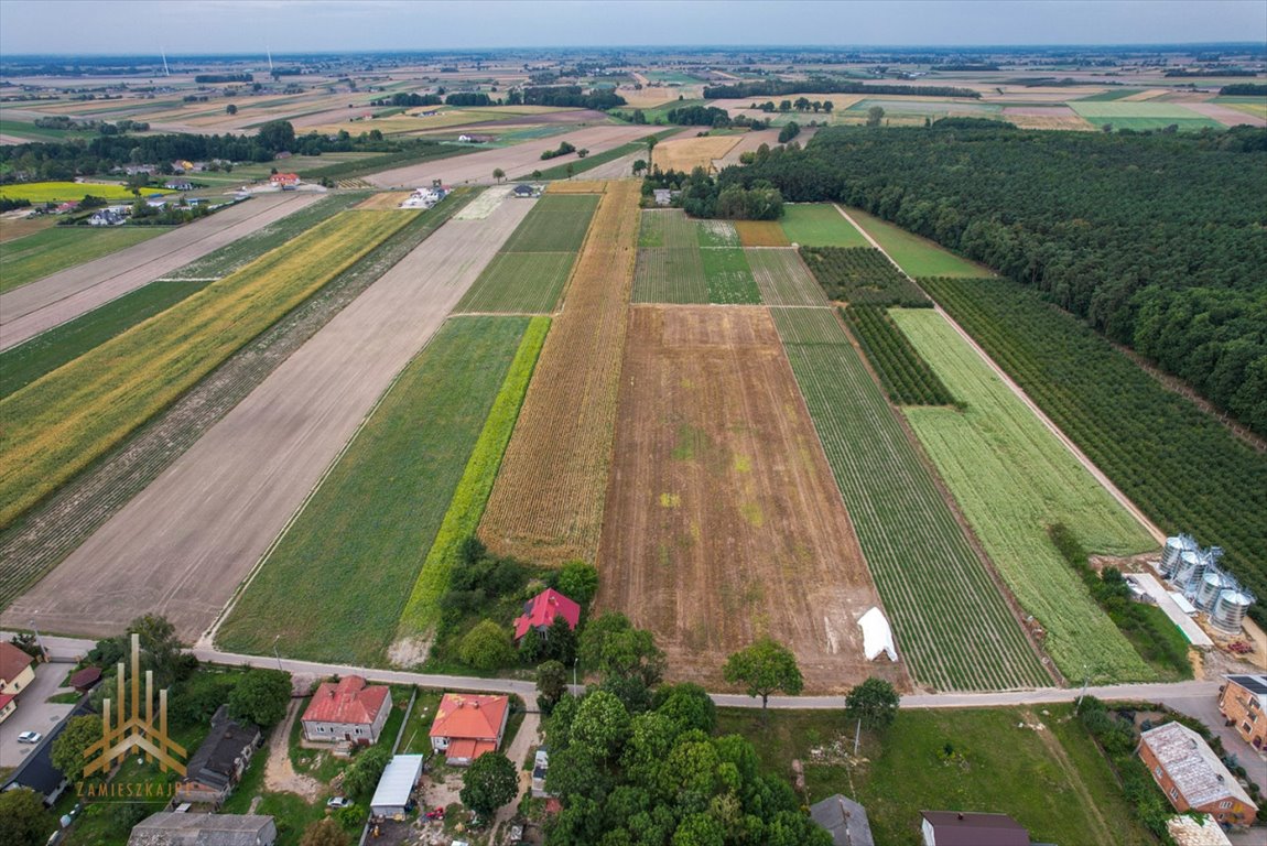 Działka przemysłowo-handlowa na sprzedaż Topólno, Muchowo  20 200m2 Foto 8