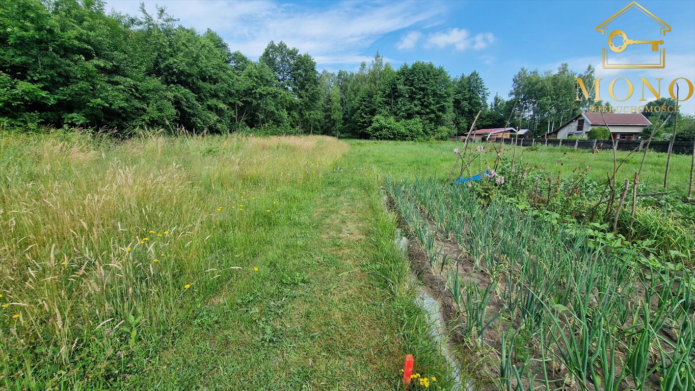 Działka budowlana na sprzedaż Jodłówka-Wałki  1 000m2 Foto 8