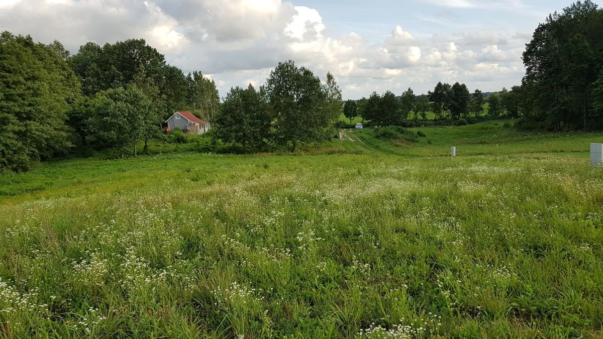 Działka budowlana na sprzedaż Dobki  3 000m2 Foto 3