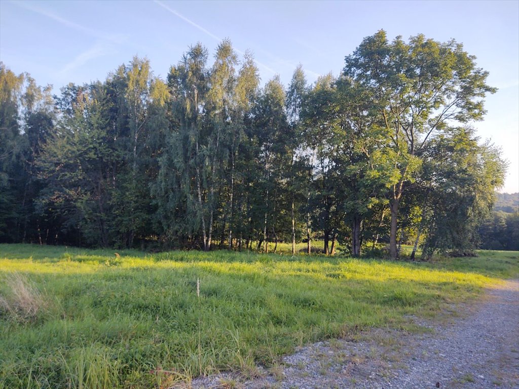 Działka budowlana na sprzedaż Bielsko-Biała, Lipnik  2 639m2 Foto 10