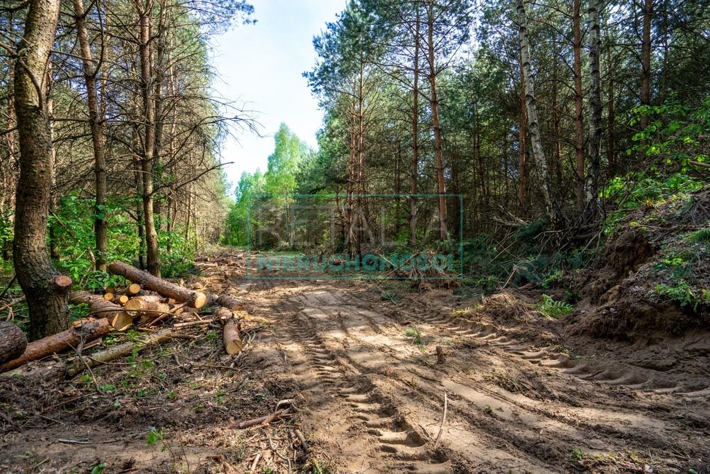 Dom na sprzedaż Pieńki Osuchowskie  182m2 Foto 18