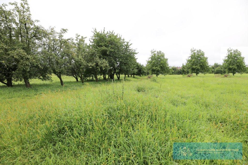 Działka budowlana na sprzedaż Malawa  2 200m2 Foto 2