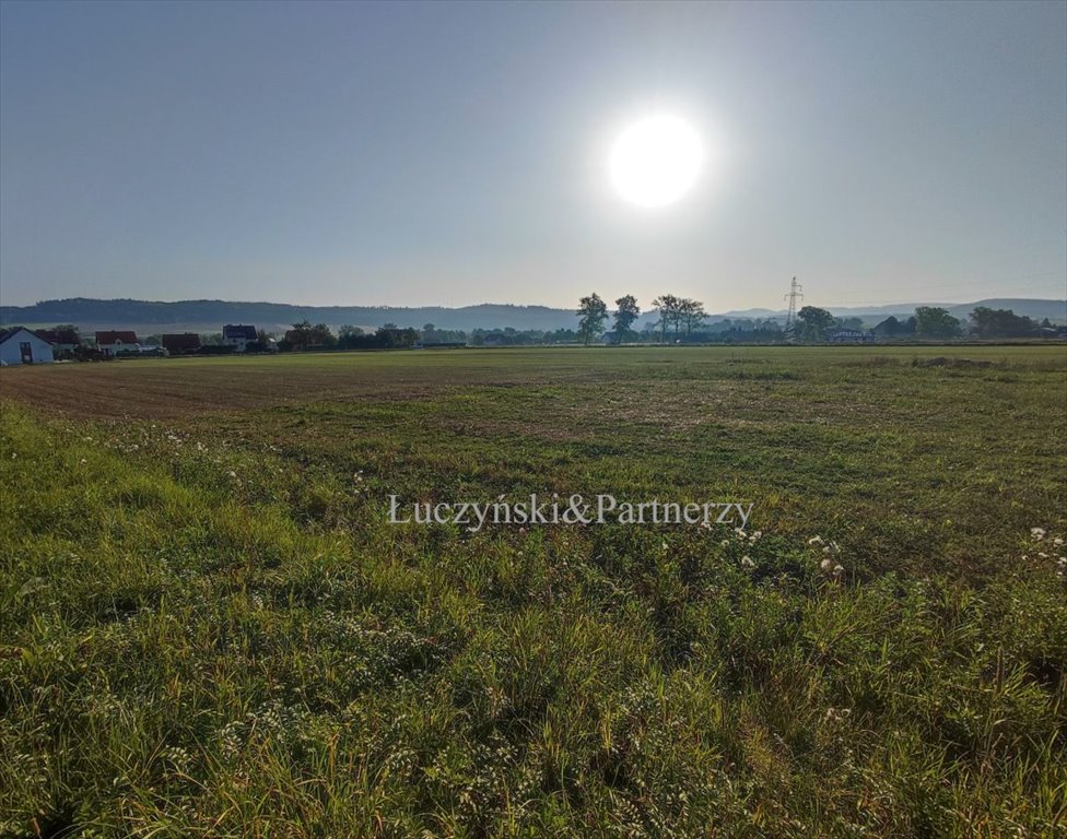 Działka budowlana na sprzedaż Czadrów  1 545m2 Foto 5