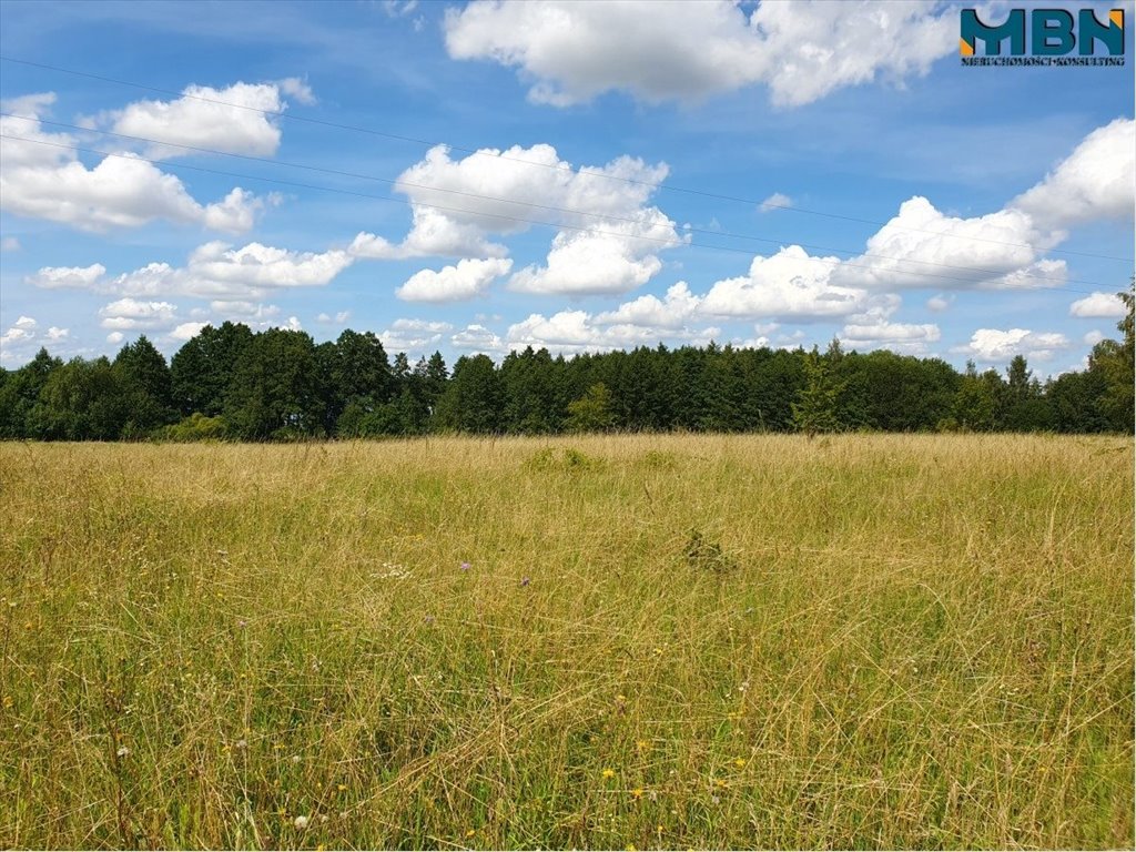 Działka rekreacyjna na sprzedaż Harsz, Harsz  4 720m2 Foto 5