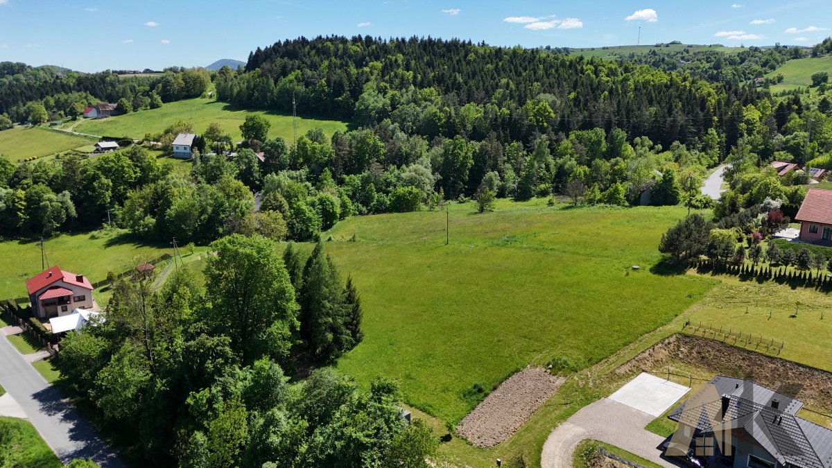 Działka budowlana na sprzedaż Krużlowa Niżna  2 654m2 Foto 4