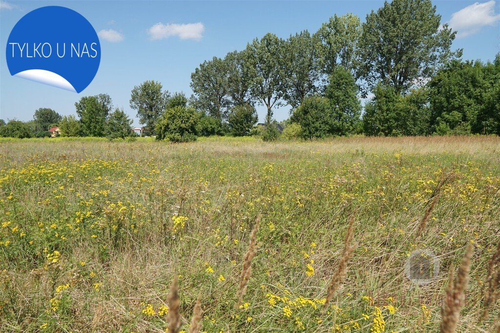 Działka budowlana na sprzedaż Deszczno  1 000m2 Foto 3