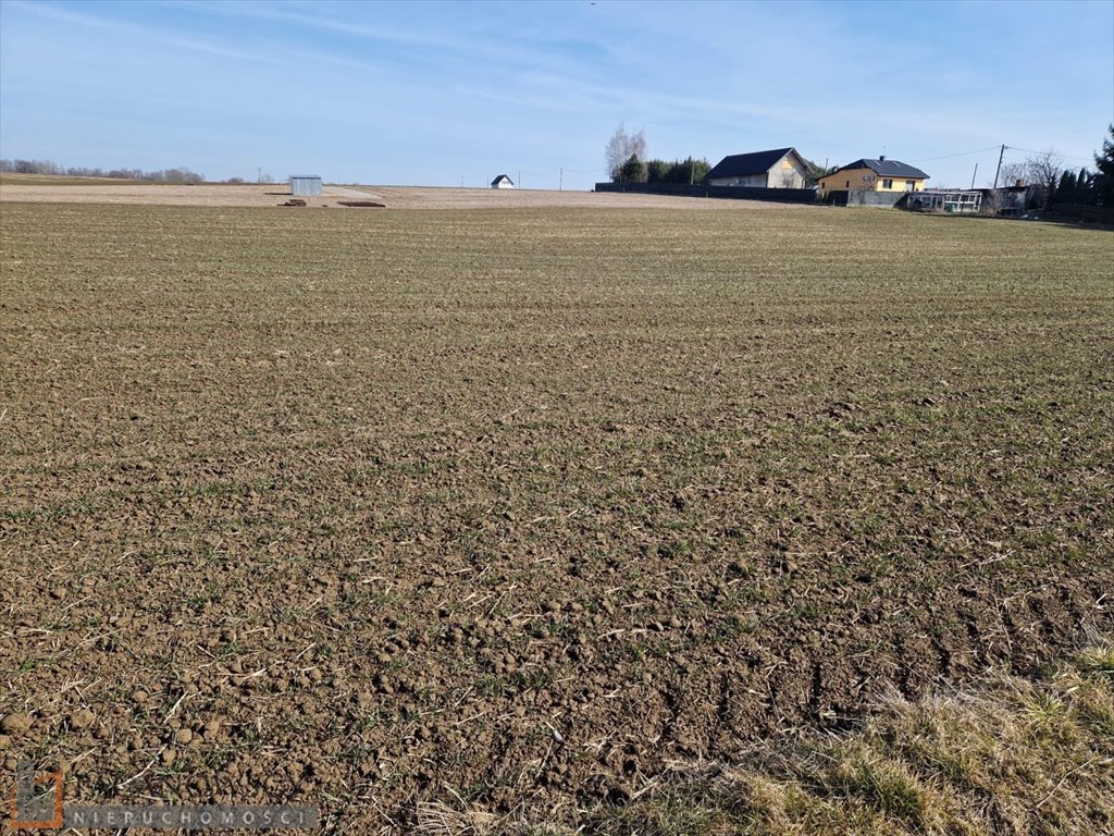 Działka budowlana na sprzedaż Sieciechowice  1 000m2 Foto 1