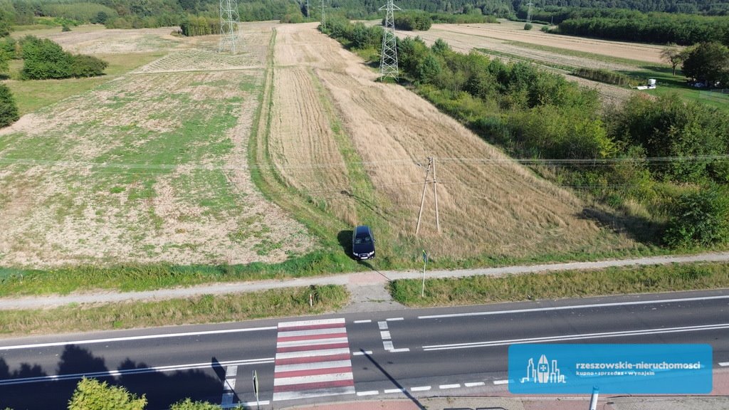 Działka budowlana na sprzedaż Pustków  10 118m2 Foto 2