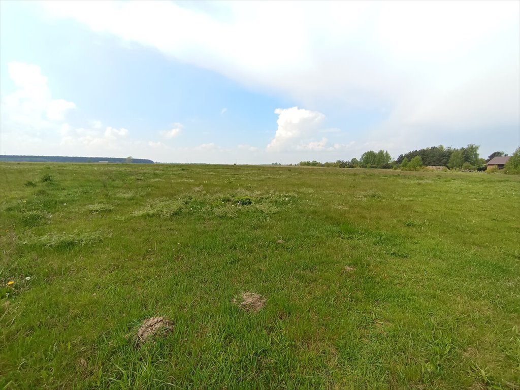 Działka budowlana na sprzedaż Pisarzowice  1 200m2 Foto 5