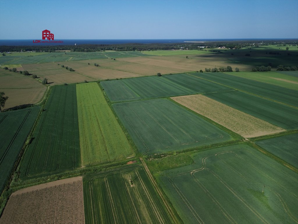 Działka siedliskowa na sprzedaż Gdańsk, Sobieszewo, Przegalińska  30 600m2 Foto 5