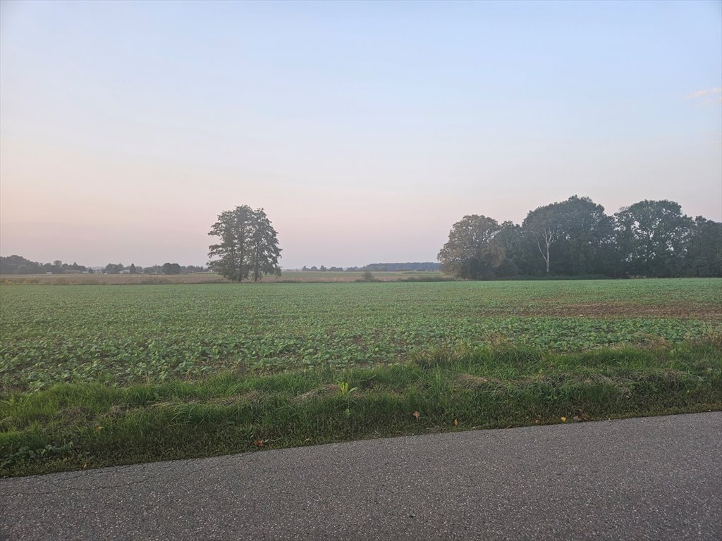 Działka rolna na sprzedaż Wola Batorska  3 000m2 Foto 1