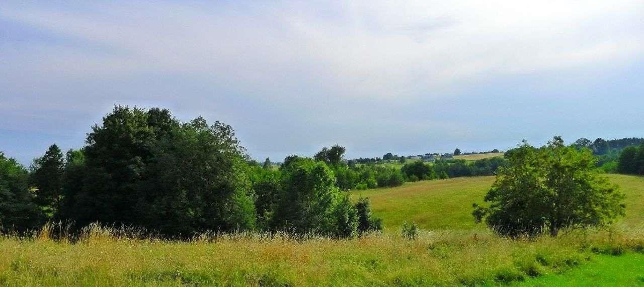 Działka rolna na sprzedaż Filipów  3 000m2 Foto 7