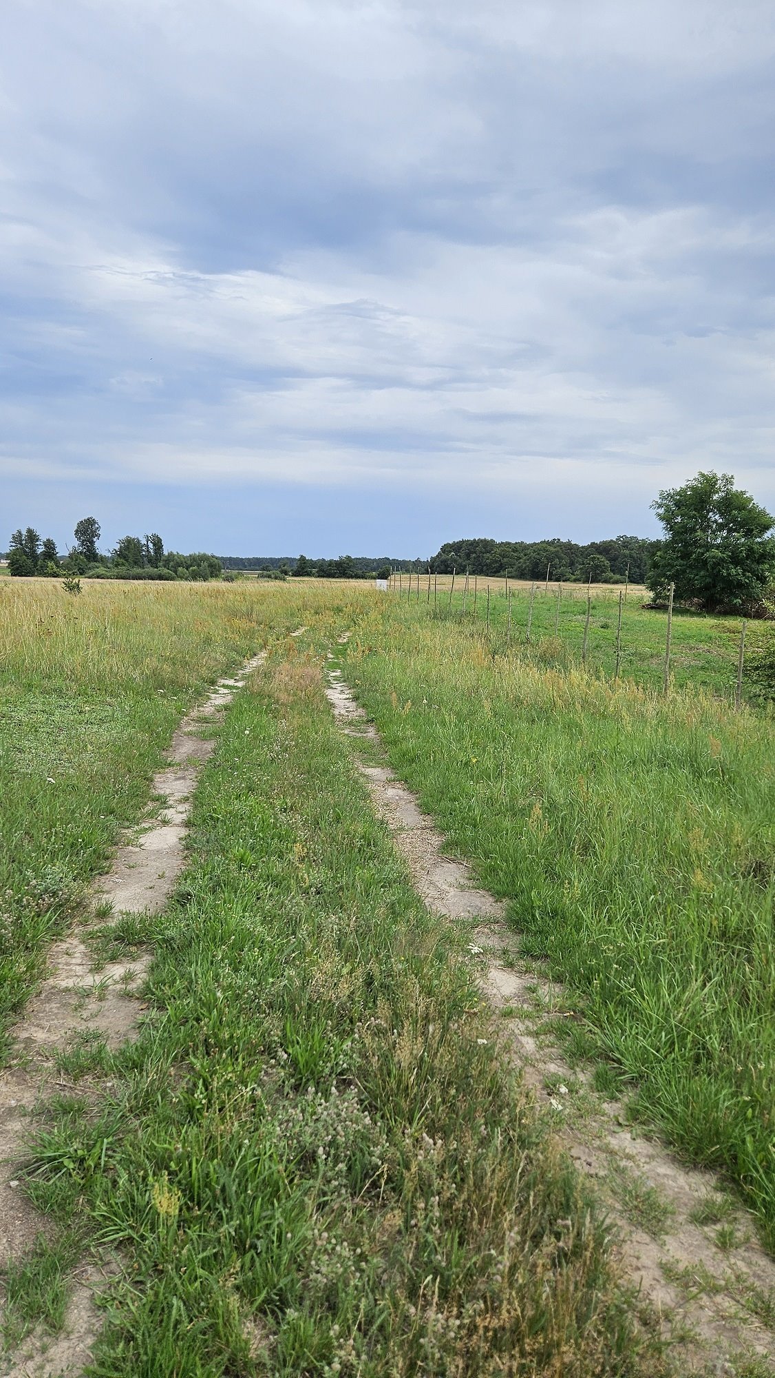 Działka budowlana na sprzedaż Zakrzyce  3 838m2 Foto 14