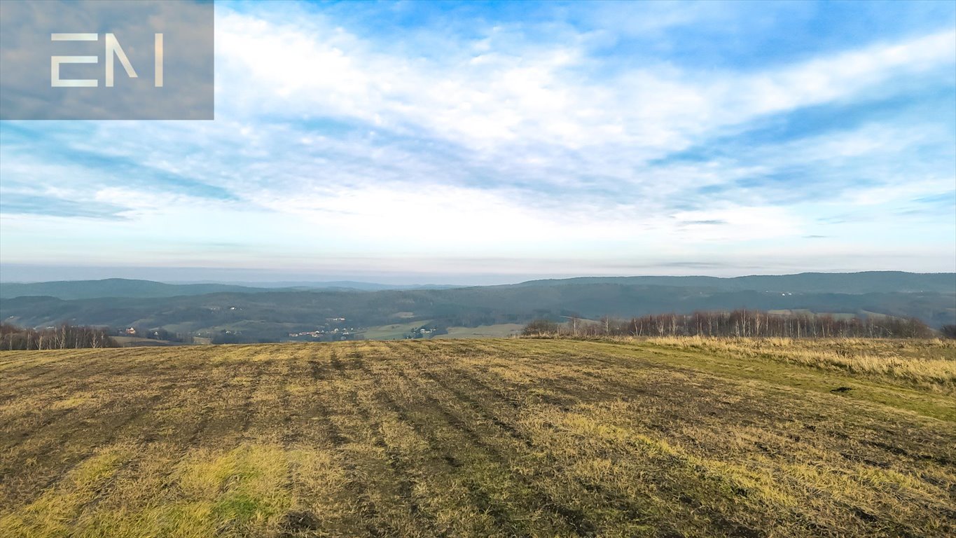 Widokowa działka inwestycyjna 1,02 ha z warunkami zabudowy Gogołów  10 200m2 Foto 1