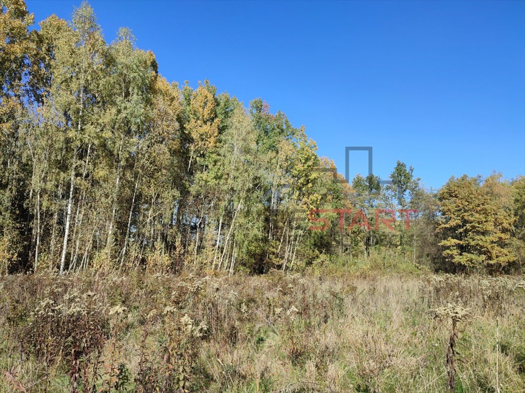 Działka budowlana na sprzedaż Adamów-Parcel  20 800m2 Foto 9