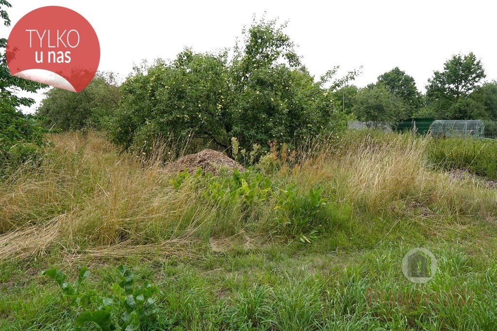 Działka budowlana na sprzedaż Gorzów Wielkopolski, Zieleniec  1 000m2 Foto 3