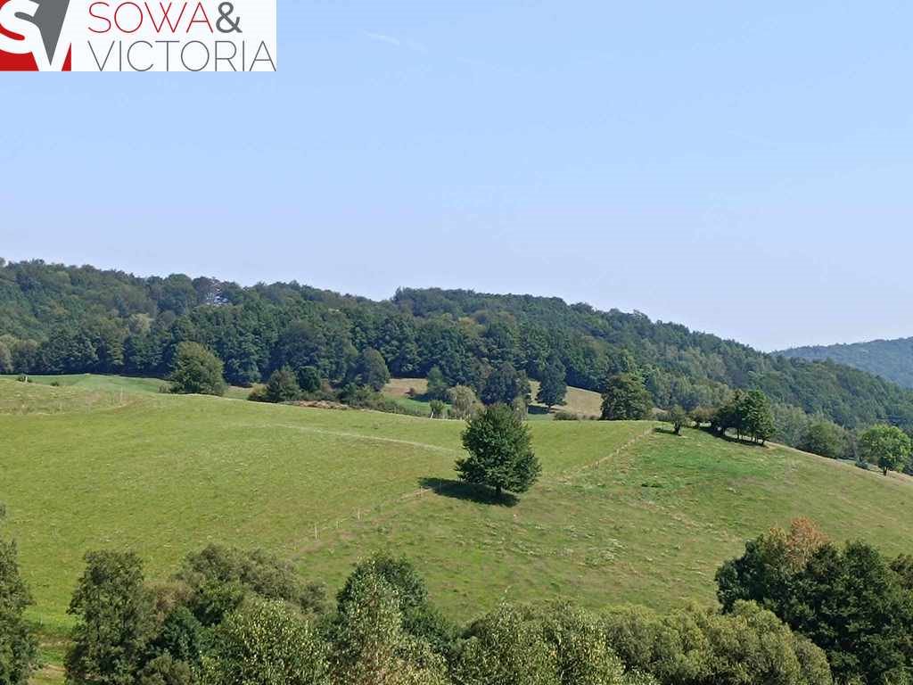 Działka budowlana na sprzedaż Zagórze Śląskie  2 700m2 Foto 5