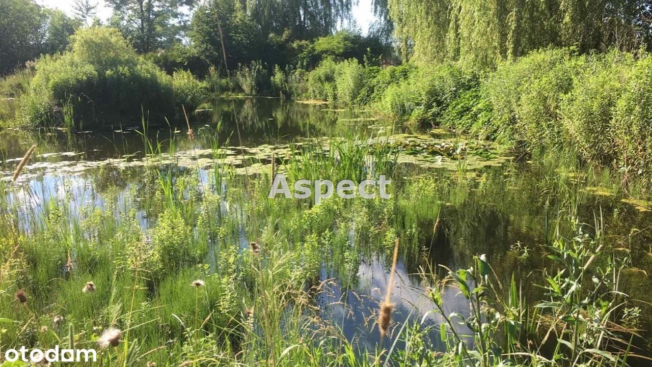 Działka inna na sprzedaż Wiśniowa  9 100m2 Foto 1