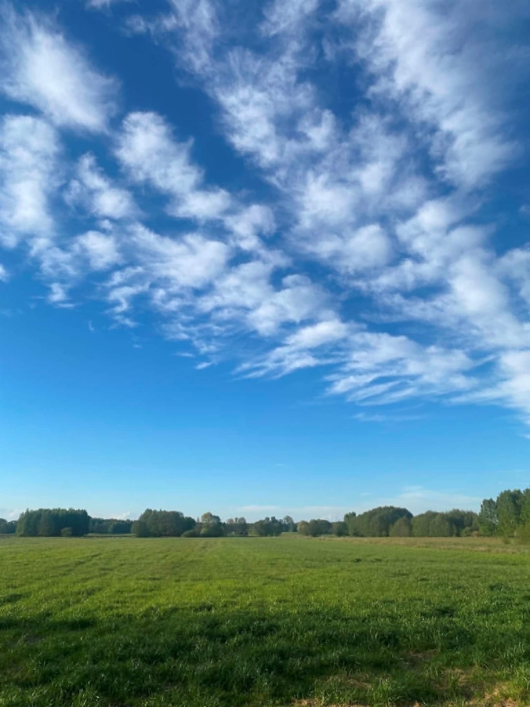 Na sprzedaż działka 1578 m² z warunkami zabudowy w Karolewie Janiszewice, Karolew  1 578m2 Foto 1