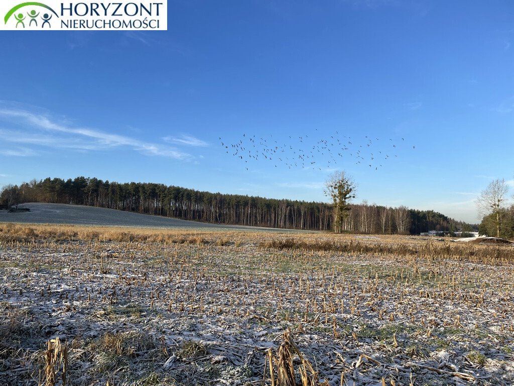 Działka pod zabudowę mieszkaniową i usługową w Bojano (1042 m²) Bojano  1 030m2 Foto 1