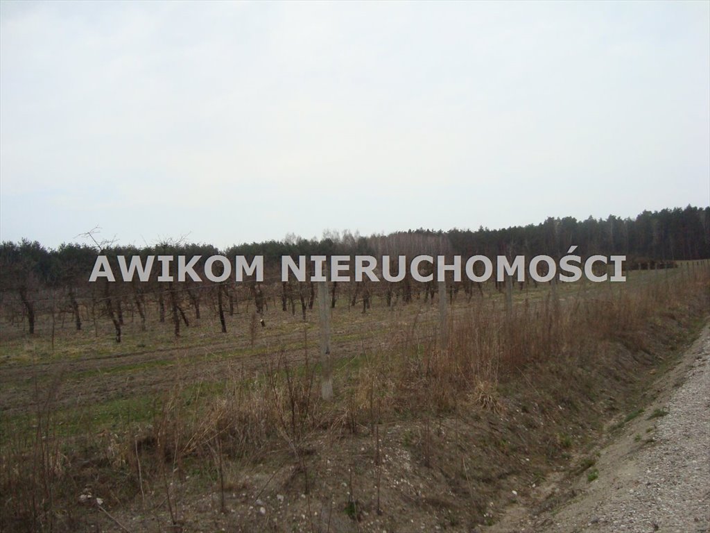 Atrakcyjna działka 6127 m² pod lasem, MPZP, do negocjacji Many  6 127m2 Foto 1