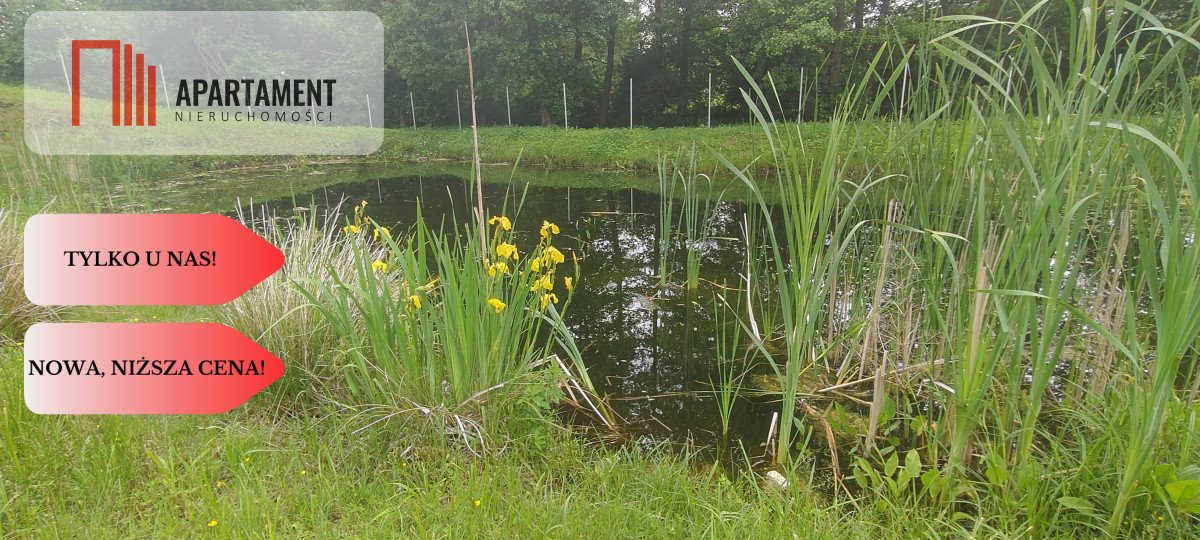 Do sprzedania dom z widokiem na las i rzekę w Płytnicy Płytnica  210m2 Foto 1