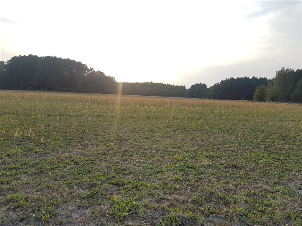 Polecam działkę 1400 m² z mediami i lasem w cichej okolicy Ptaszkowice  1 400m2 Foto 1