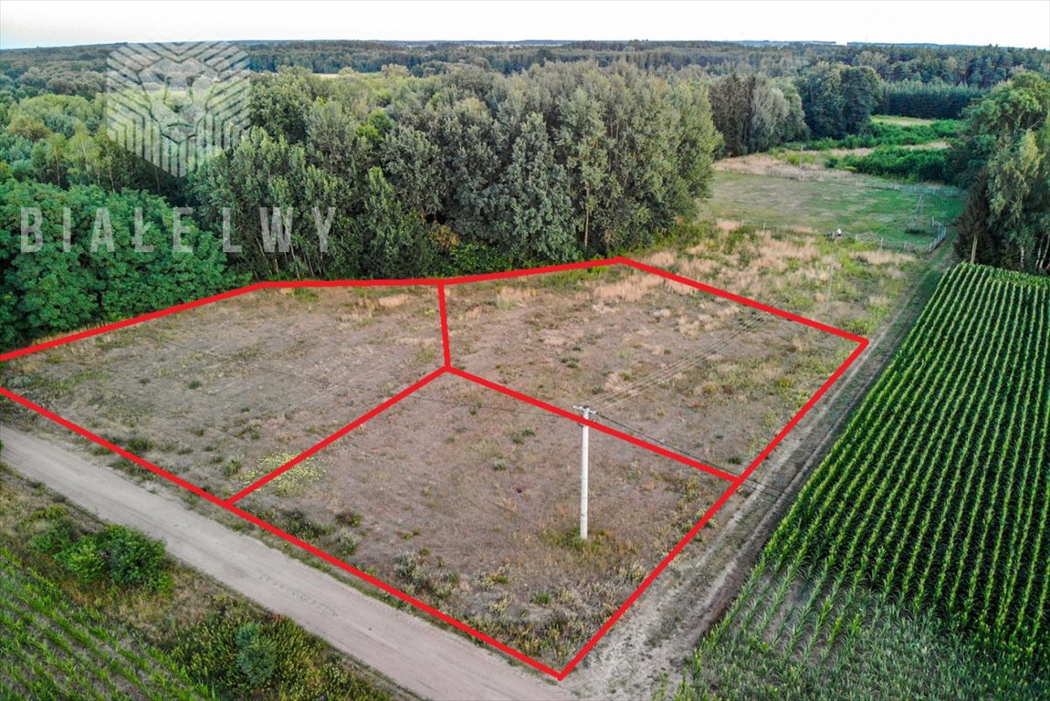 Działka rekreacyjna na sprzedaż Baraki  1 200m2 Foto 3