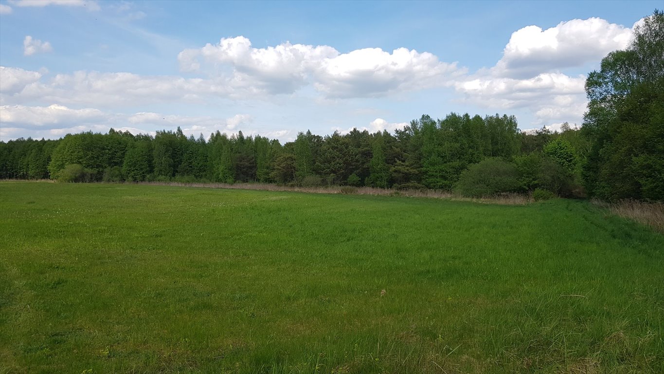 Malownicza działka 42 254 m² z projektem domu w Borowym Młynie Borowy Młyn  42 254m2 Foto 1