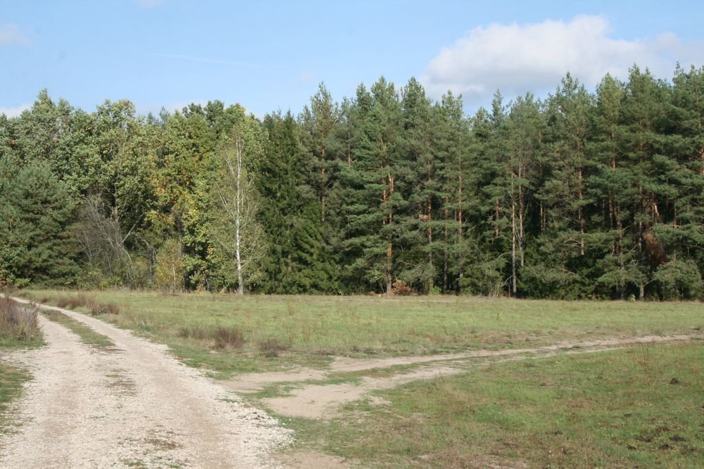 Działki pod zabudowę w Zabielnem, 1154 m2 i 1108 m2 Zabielne  1 154m2 Foto 1
