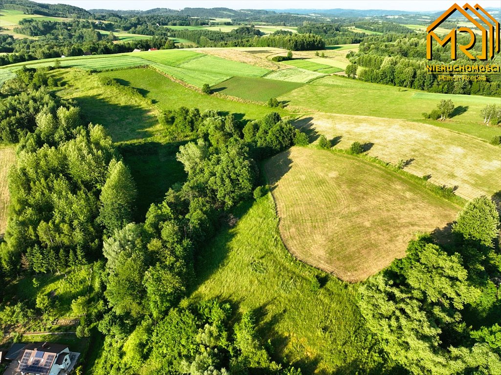 Działka inna na sprzedaż Wola Lubecka  47 900m2 Foto 4