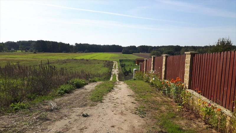 Działka inna na sprzedaż Krajęczyn 1 000m2 Foto 1 Działka inna na sprzedaż Krajęczyn 1 000m2 Foto 1