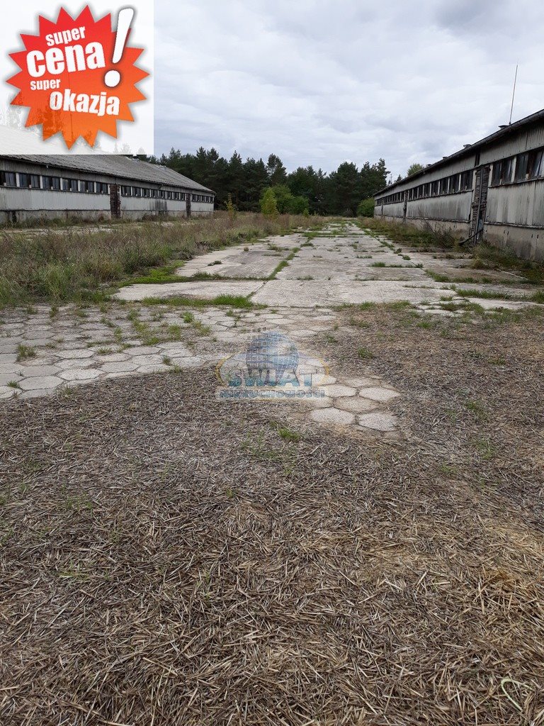 Lokal użytkowy na sprzedaż Piasecznik 61 443m2 Foto 1 Lokal użytkowy na sprzedaż Piasecznik 61 443m2 Foto 1