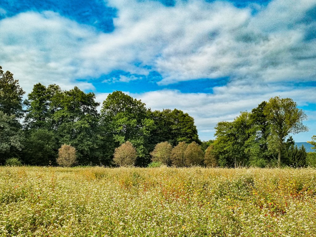 Działka inna na sprzedaż Wilkanów  1 500m2 Foto 10