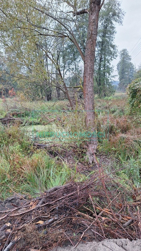 Działka siedliskowa na sprzedaż Kamionka  10 000m2 Foto 5