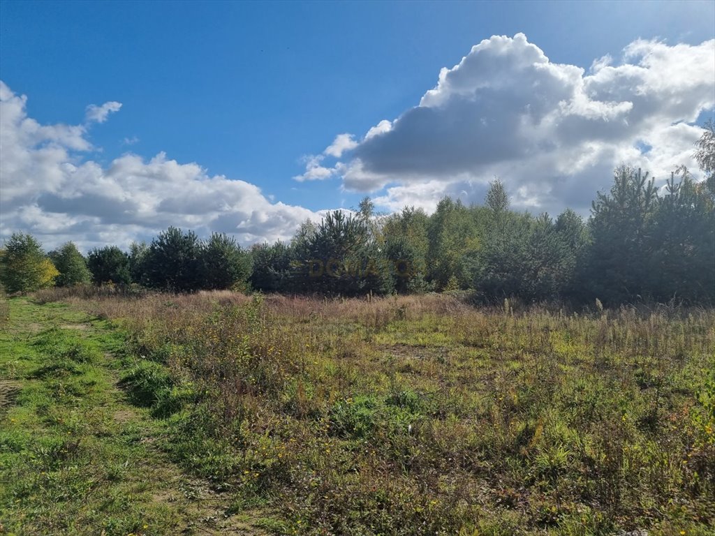 Działka budowlana na sprzedaż Nekla  1 426m2 Foto 1