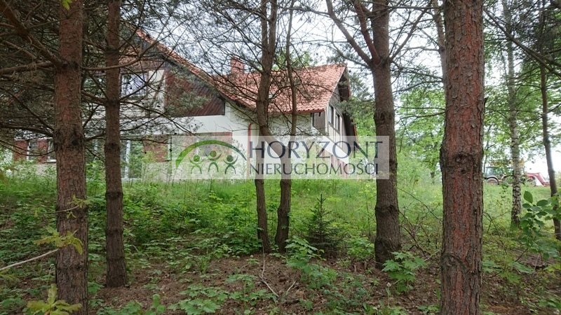 Dom na sprzedaż Borkowo 434m2 Foto 1 Dom na sprzedaż Borkowo 434m2 Foto 1