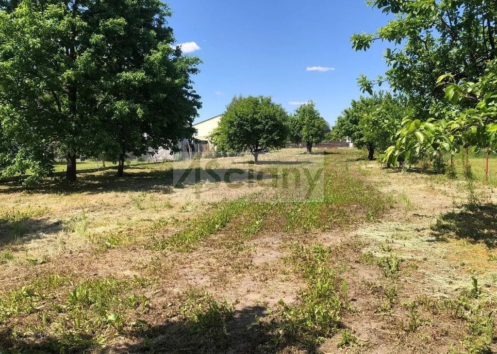 Do sprzedania działka 2000 m² w Ruscu z mediami i warunkami zabudowy Rusiec  2 000m2 Foto 1