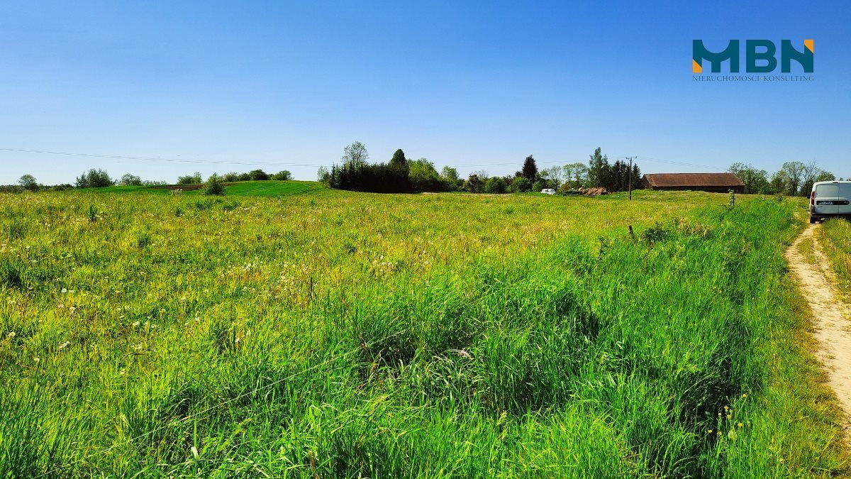 Działka rolna na sprzedaż Węgorzewo, Rudziszki  21 800m2 Foto 9