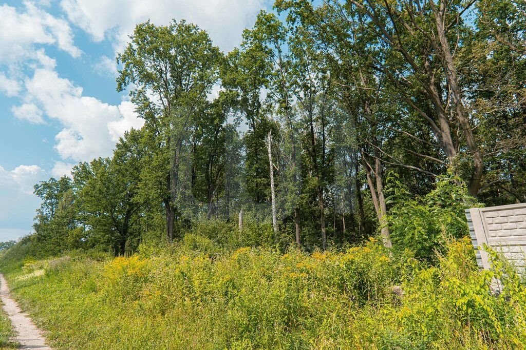 Działka budowlana na sprzedaż Sulejówek, Miłosna  4 511m2 Foto 13