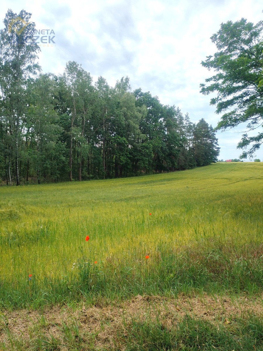 Działka rolna na sprzedaż Zakrzew  24 488m2 Foto 1