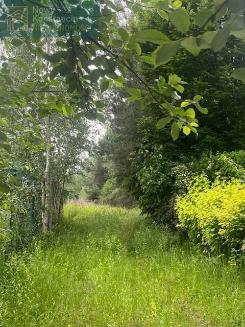 Działka budowlana na sprzedaż Konstancin-Jeziorna, Kierszek, Prawdziwka  2 000m2 Foto 1