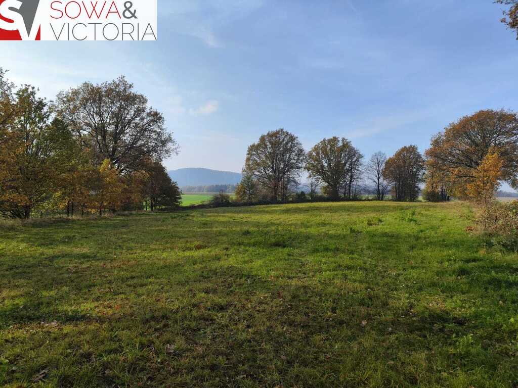 Działka inna na sprzedaż Górczyca  1 700m2 Foto 3