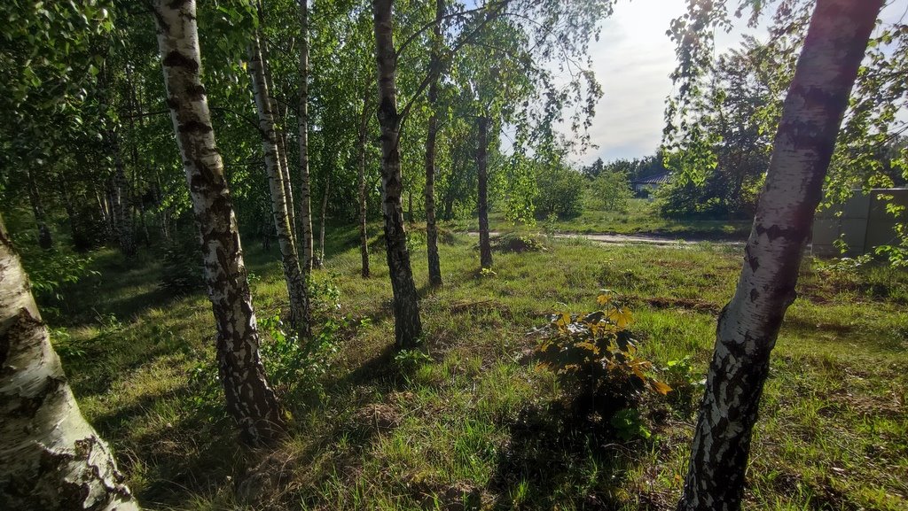 Działka inna na sprzedaż Łagiewniki Nowe, Słoneczna  900m2 Foto 6