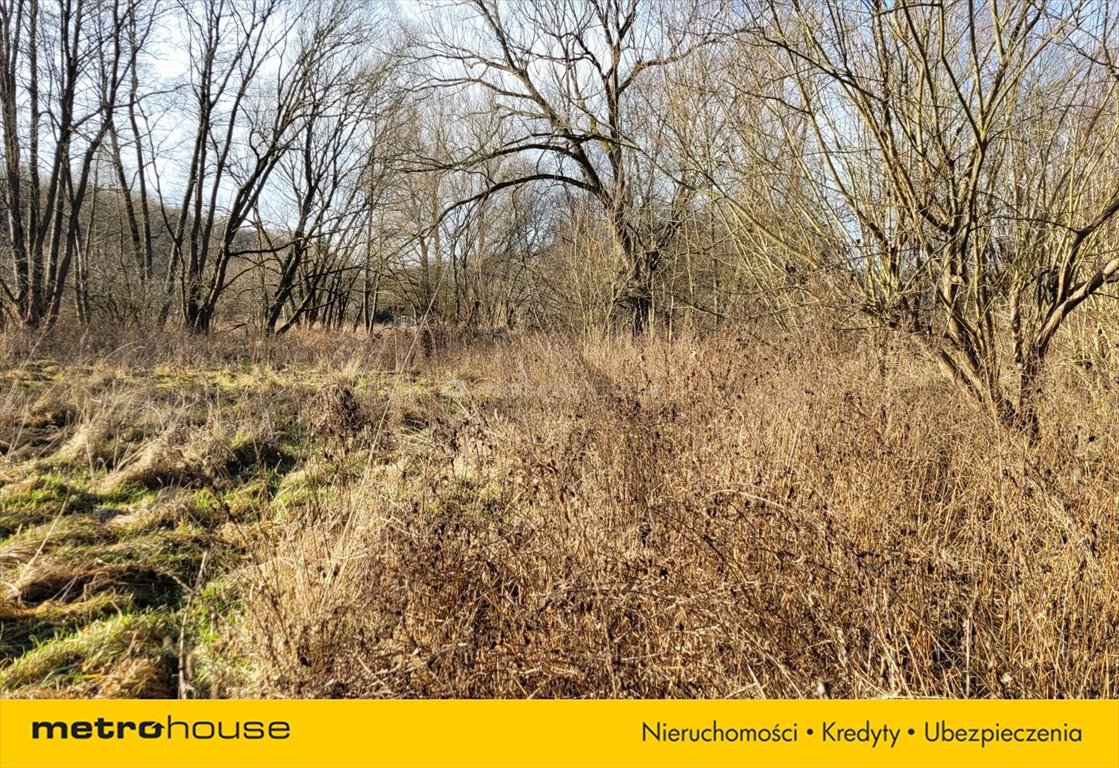 Działka inna na sprzedaż Łupki  3 382m2 Foto 5