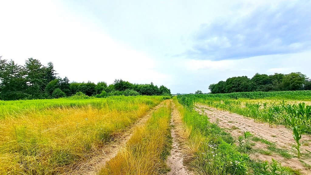 Działka siedliskowa na sprzedaż Kryniczno, Łąkowa  3 000m2 Foto 1