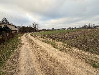 Działka rolna 1,2 ha w Gozdy – atrakcyjna cena! Gozdy  12 000m2 Foto 1